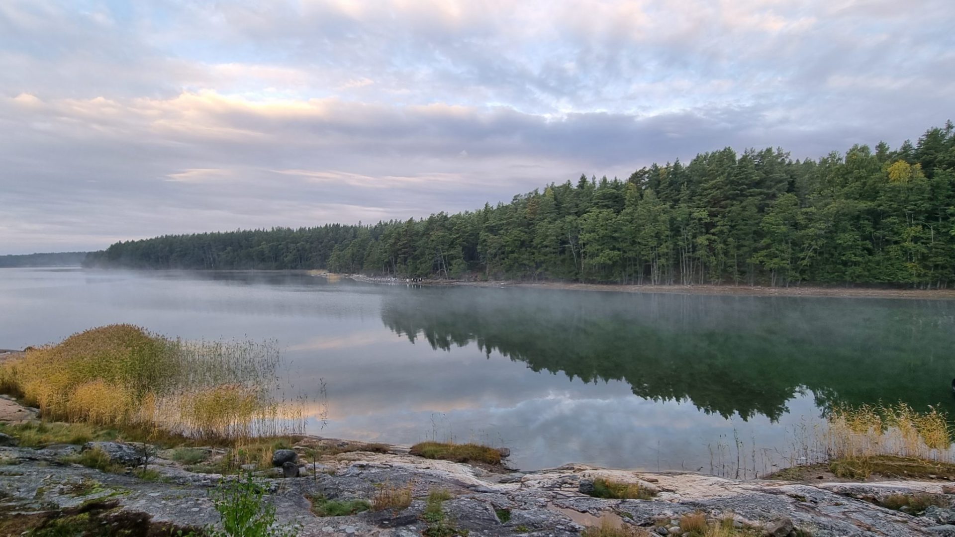 20220925_080239 (1) 20220925_080239 (1)