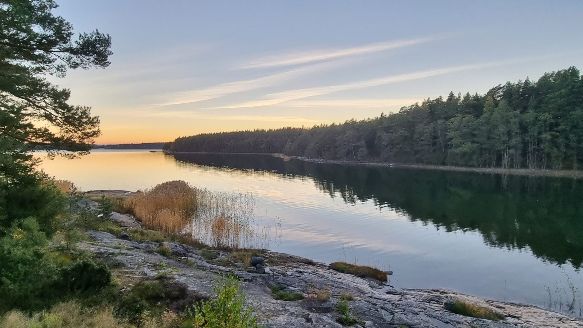 20221004_184713 (1) 20221004_184713 (1)