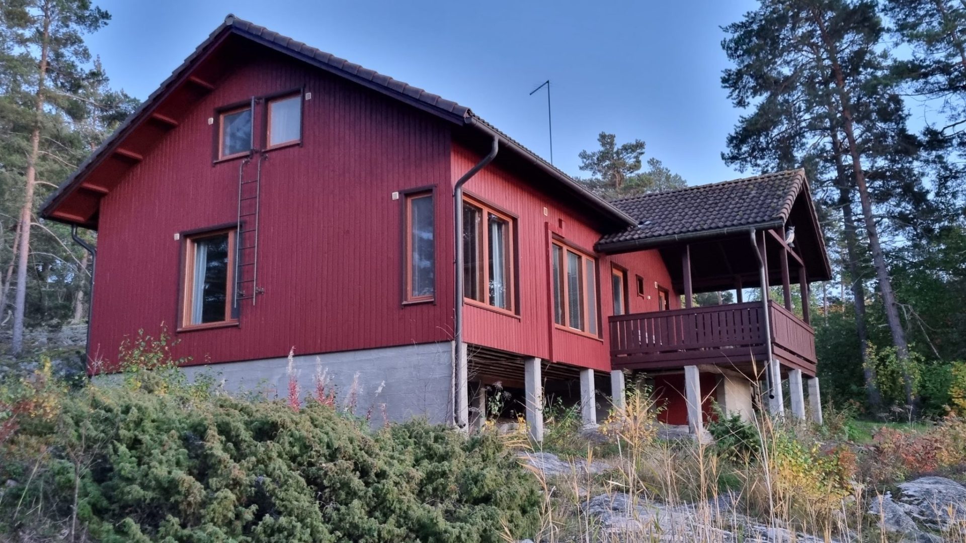 20221004_191746 (1) 20221004_191746 (1)